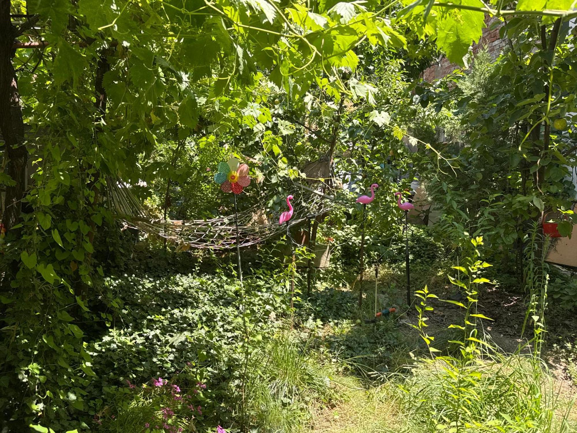 Charming With Outdoor Area * Üsküp